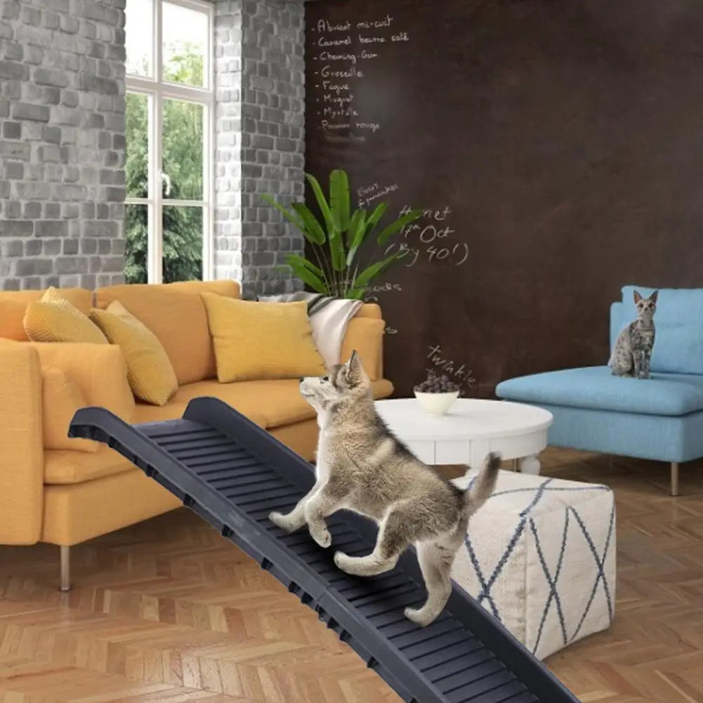 Elevate Your Pet's Mobility with Our Lightweight Folding Dog Ramp - Perfect for Cars, Trucks, and High Beds!